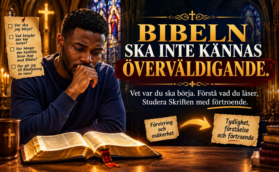 Det kompletta katolska bibelstudiepaketet — imagem 4