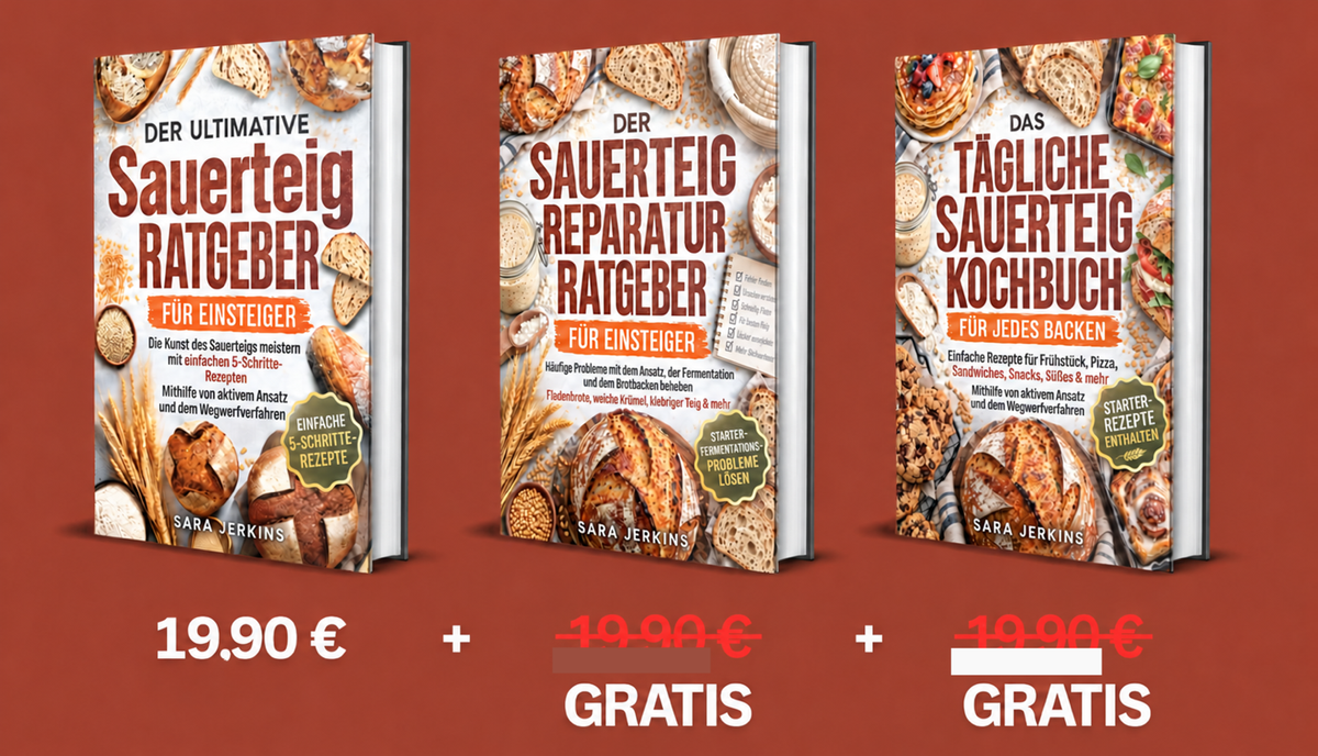 Der komplette Sauerteig-Leitfaden für Anfänger — imagem 2